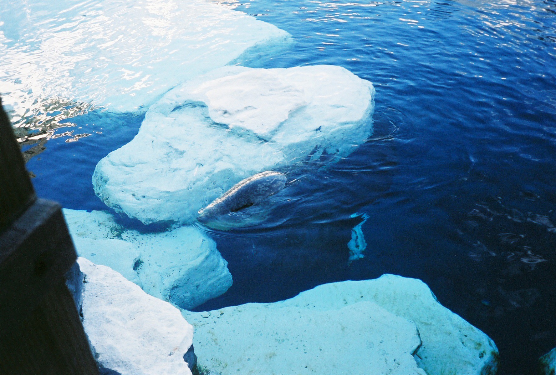 1579-r2-08-8a 1579-r2-08-8a