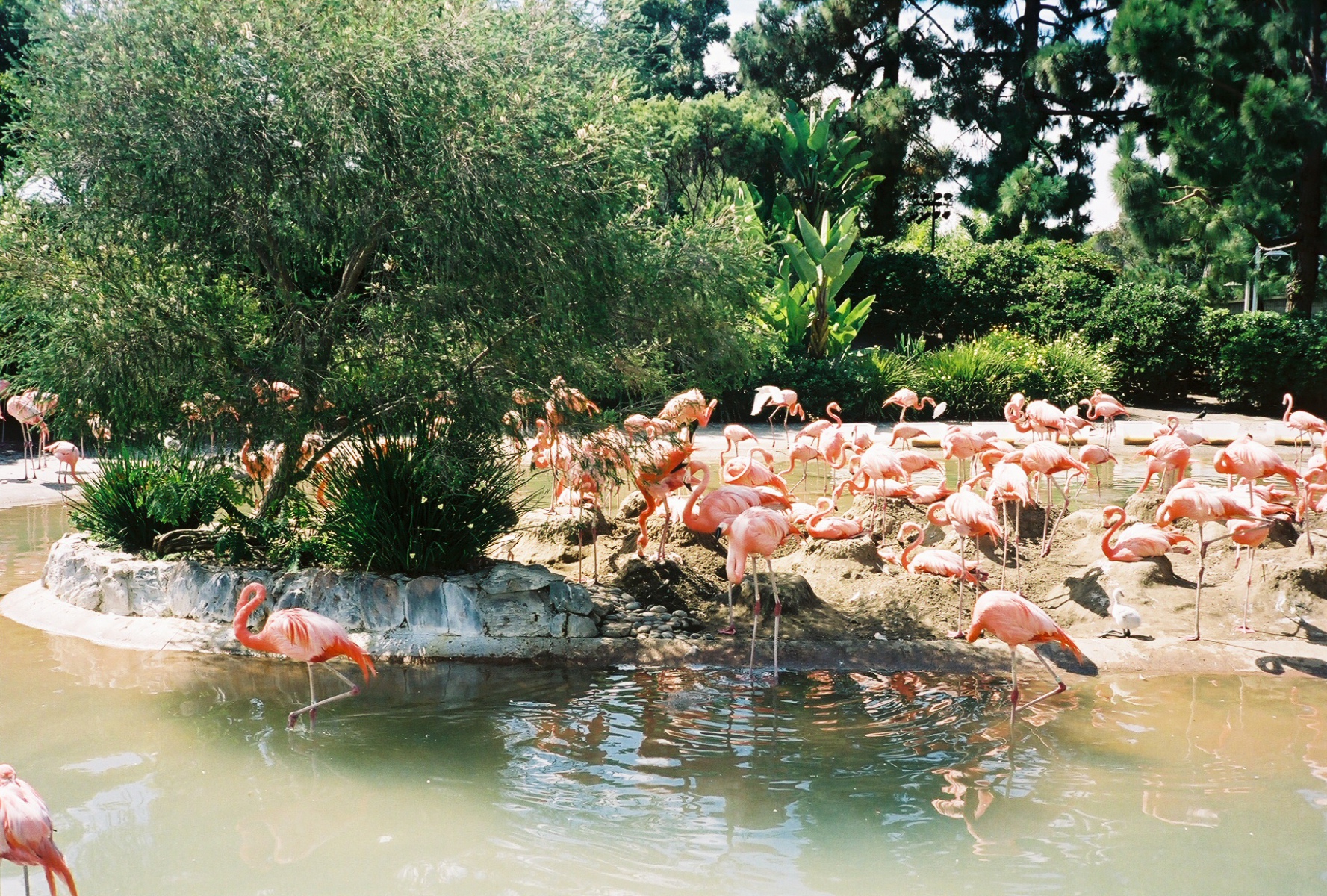 1_1579-r2-03-3a 1_1579-r2-03-3a