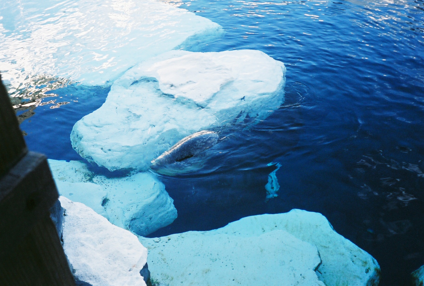 1_1579-r2-08-8a 1_1579-r2-08-8a