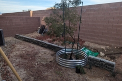 PXL_20240328_001354614