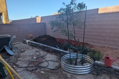 PXL_20240406_233755545