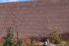 PXL_20250222_204433703