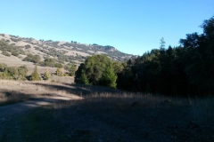 wp_20141102_004