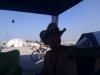 thumbs_imag0293