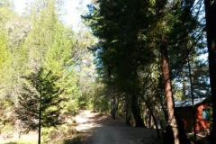 thumbs_wp_20140907_017