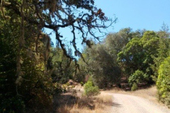 thumbs_wp_20140907_019