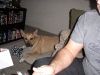 thumbs_p1010022