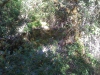 thumbs_wp_001017