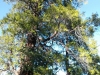 thumbs_wp_20141102_010