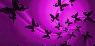 Animated-Butterfly-Wallpapers